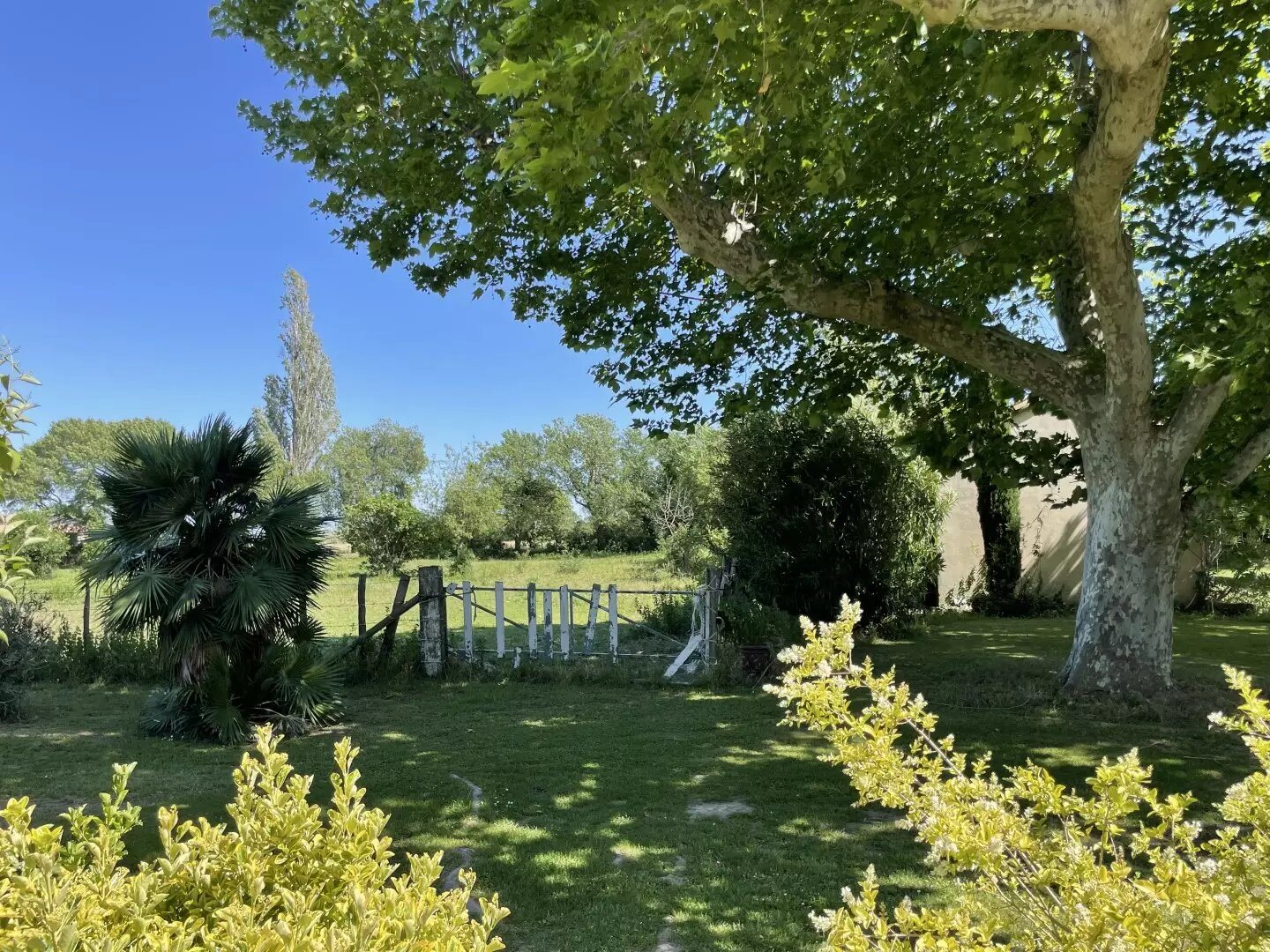 Maison à vendre, 437m², Saint-Martin-de-Crau