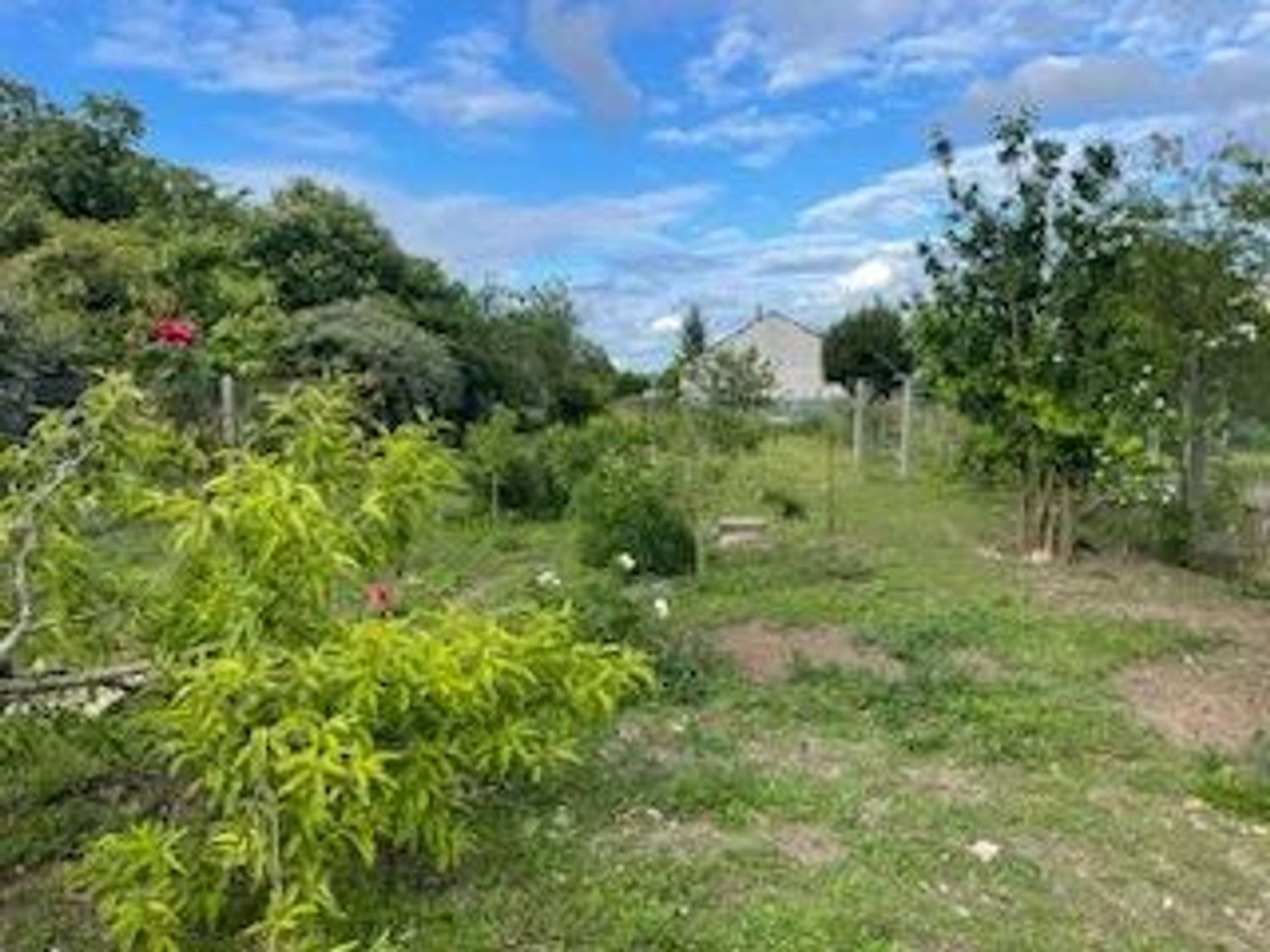 Maison à vendre, 90m², Savigné-sur-Lathan
