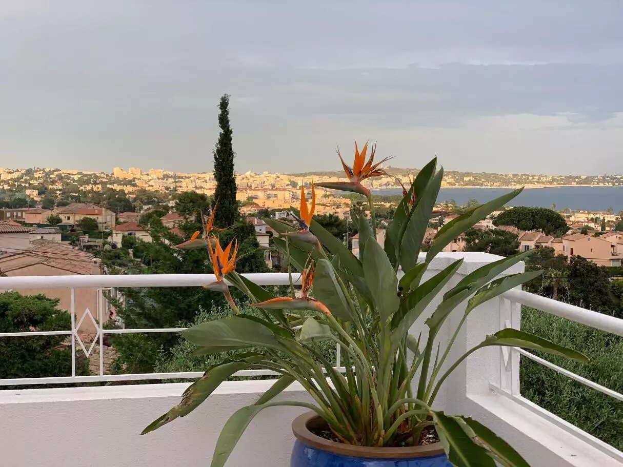 Maison à vendre, 174m², Cannes