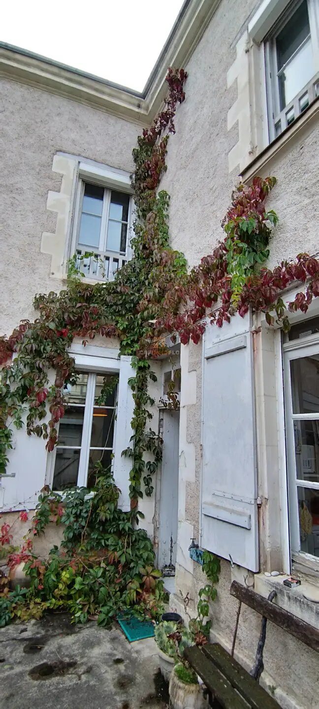 Maison à vendre, 200m², Amboise