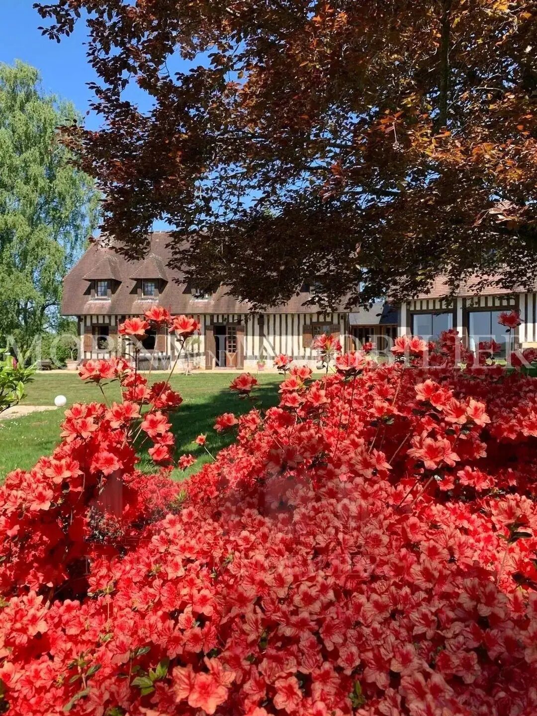 Maison à vendre, 223m², Pont-l'Evêque