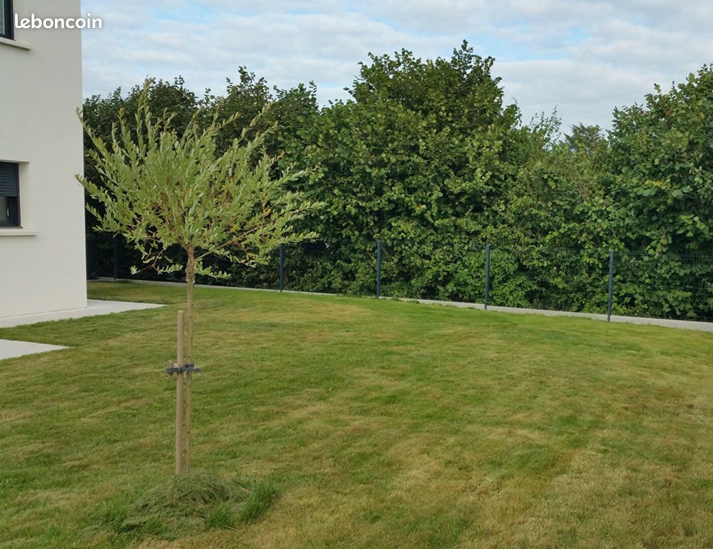 Maison à louer, 125m², La Membrolle-sur-Longuenée