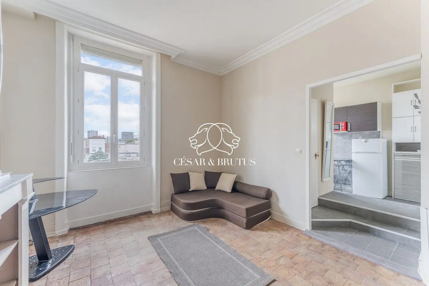 Appartement à vendre, 26m², Lyon 2ème