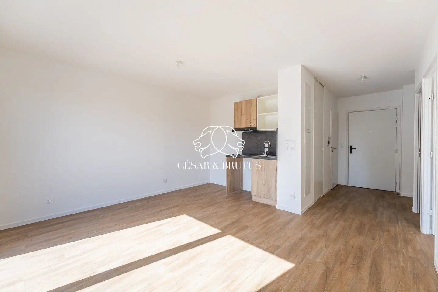 Appartement à vendre, 41m², Rillieux-la-Pape