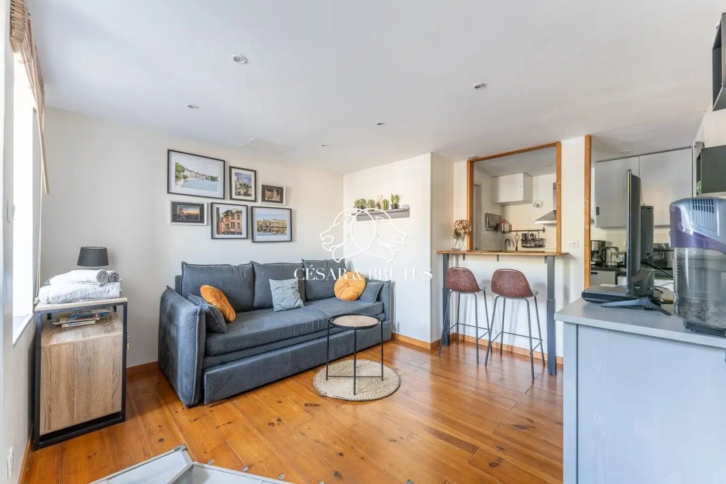 Appartement à vendre, 18m², Lyon 5ème