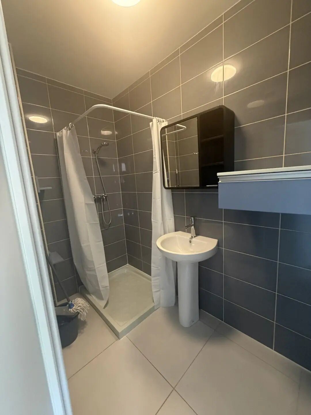 Appartement à vendre, 130m², Grenoble