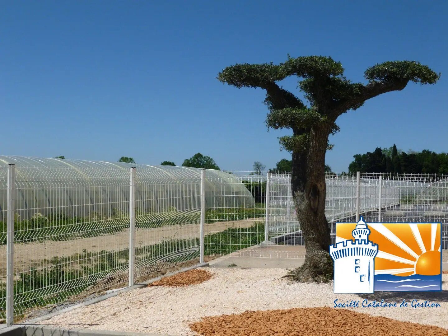 Appartement à louer, 36m², Saint-Cyprien
