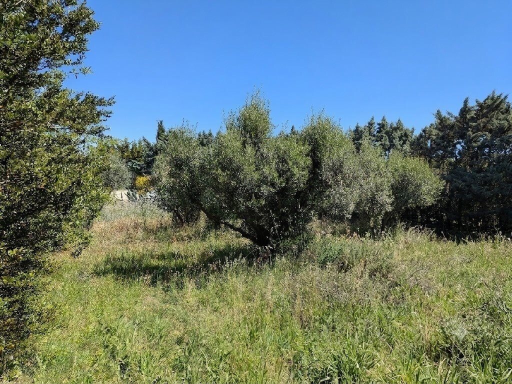 Maison à vendre, 89m², Rochefort-du-Gard