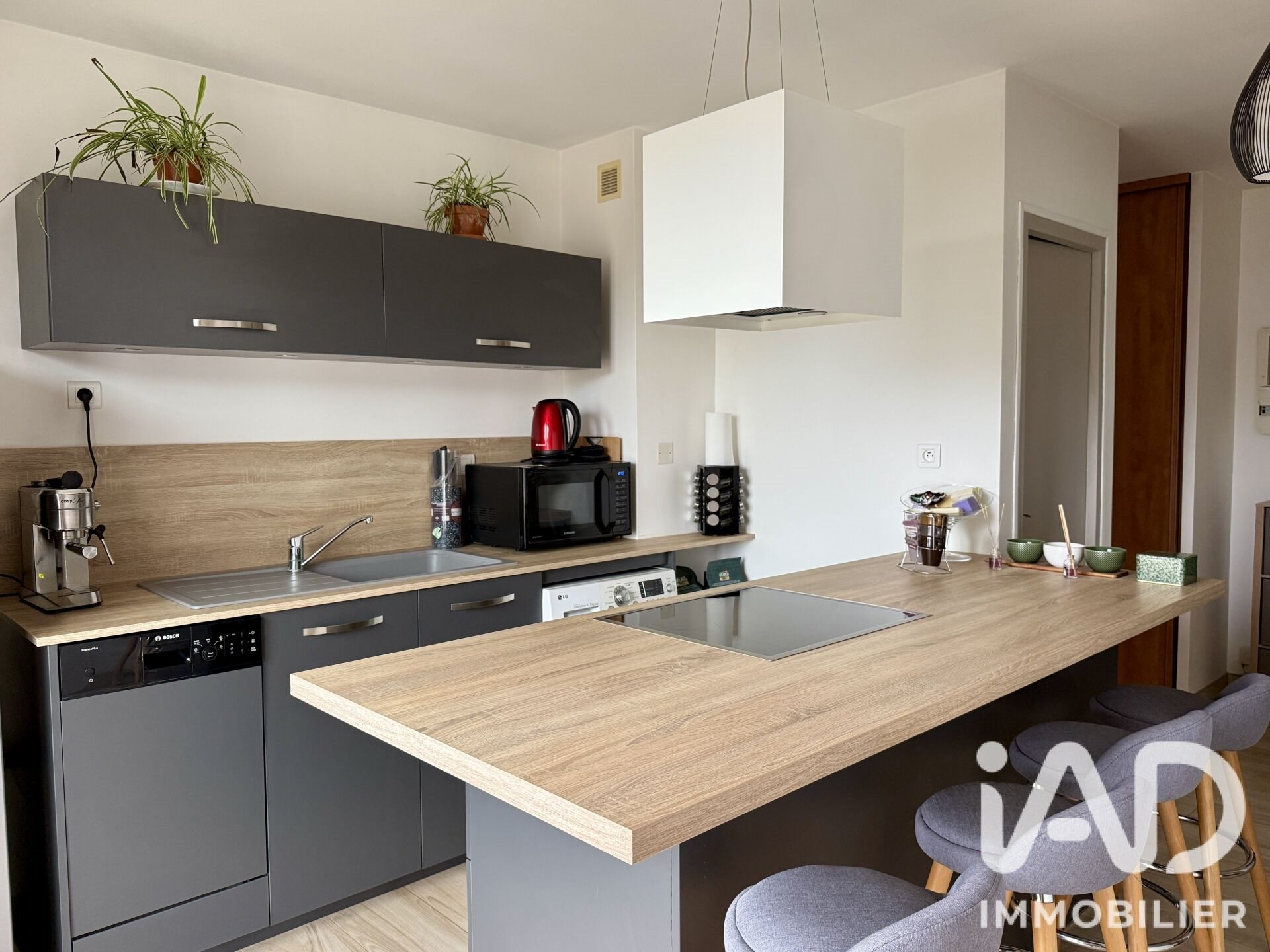 Appartement à vendre, 53m², Reignier-Ésery