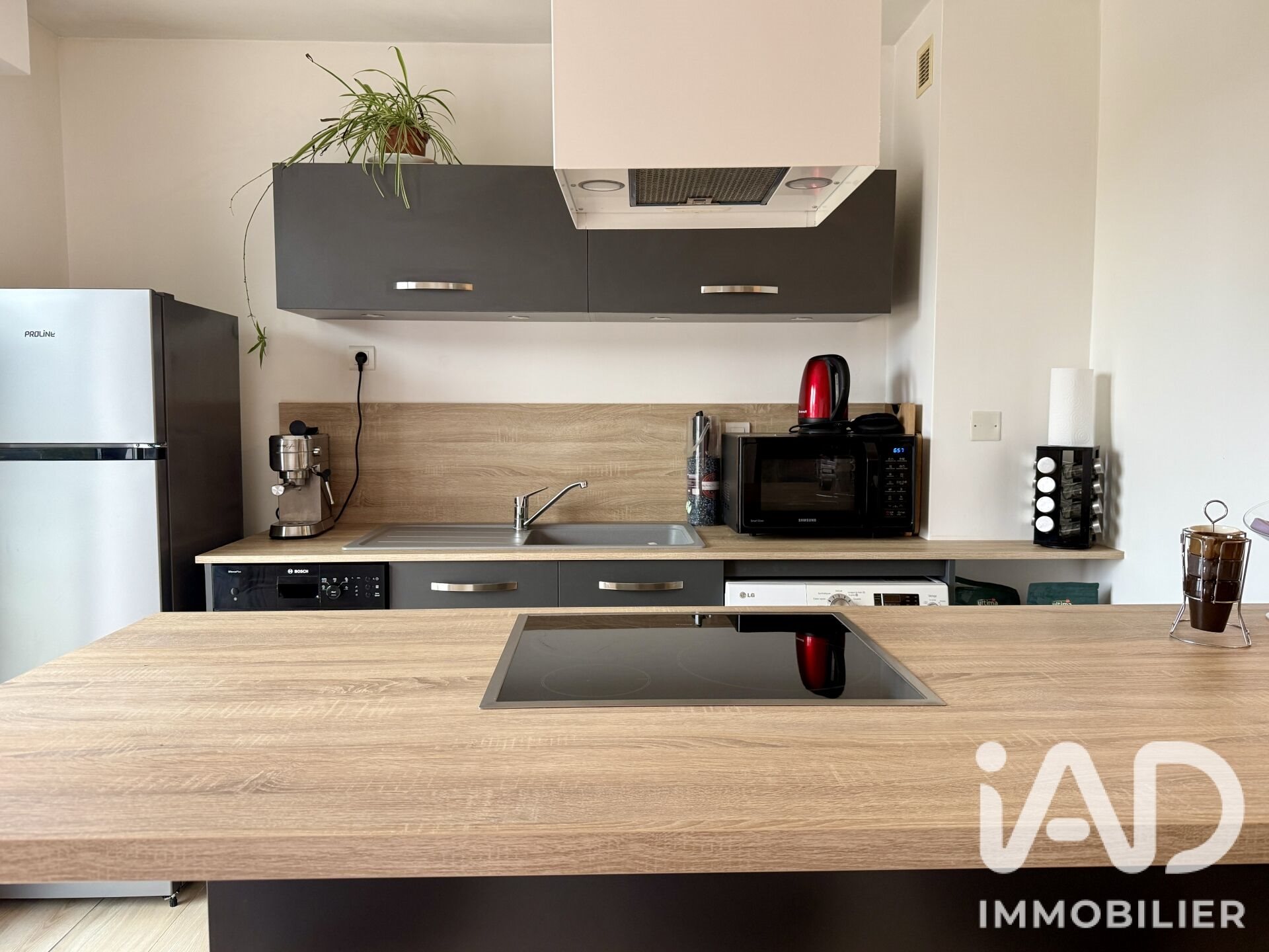 Appartement à vendre, 53m², Reignier-Ésery