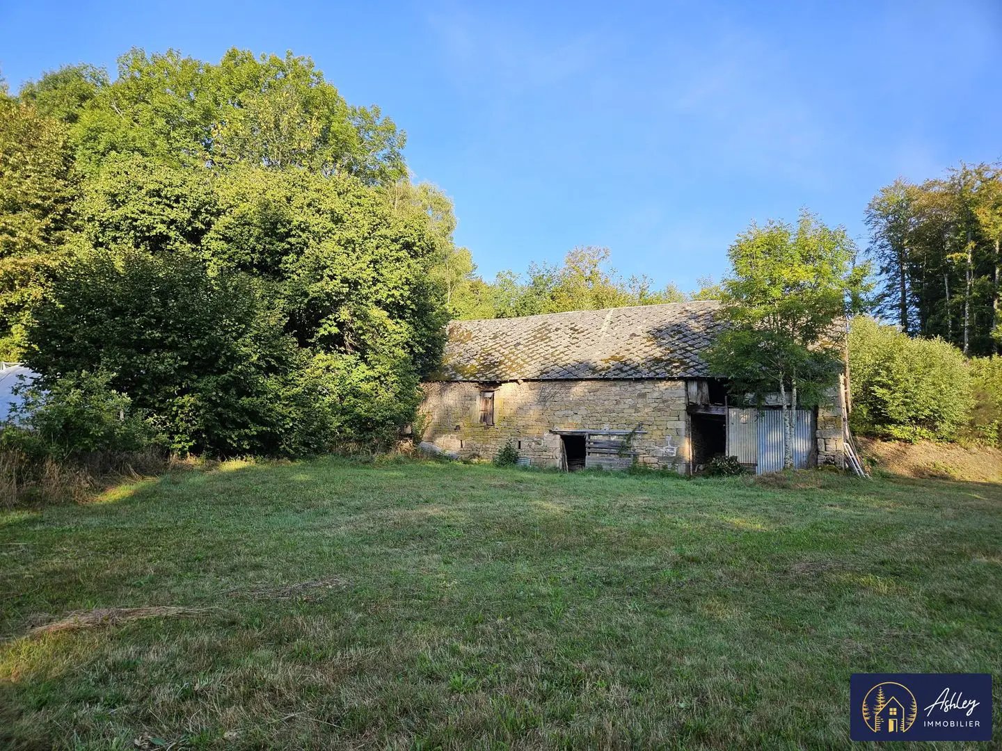 Maison à vendre, 306m², Davignac