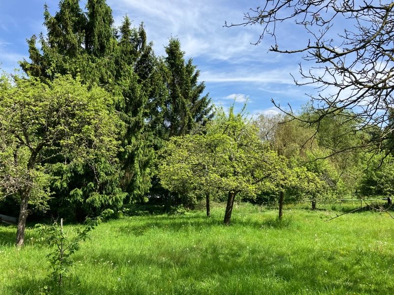 Maison à vendre, 363m², Saint-Aubin-Épinay