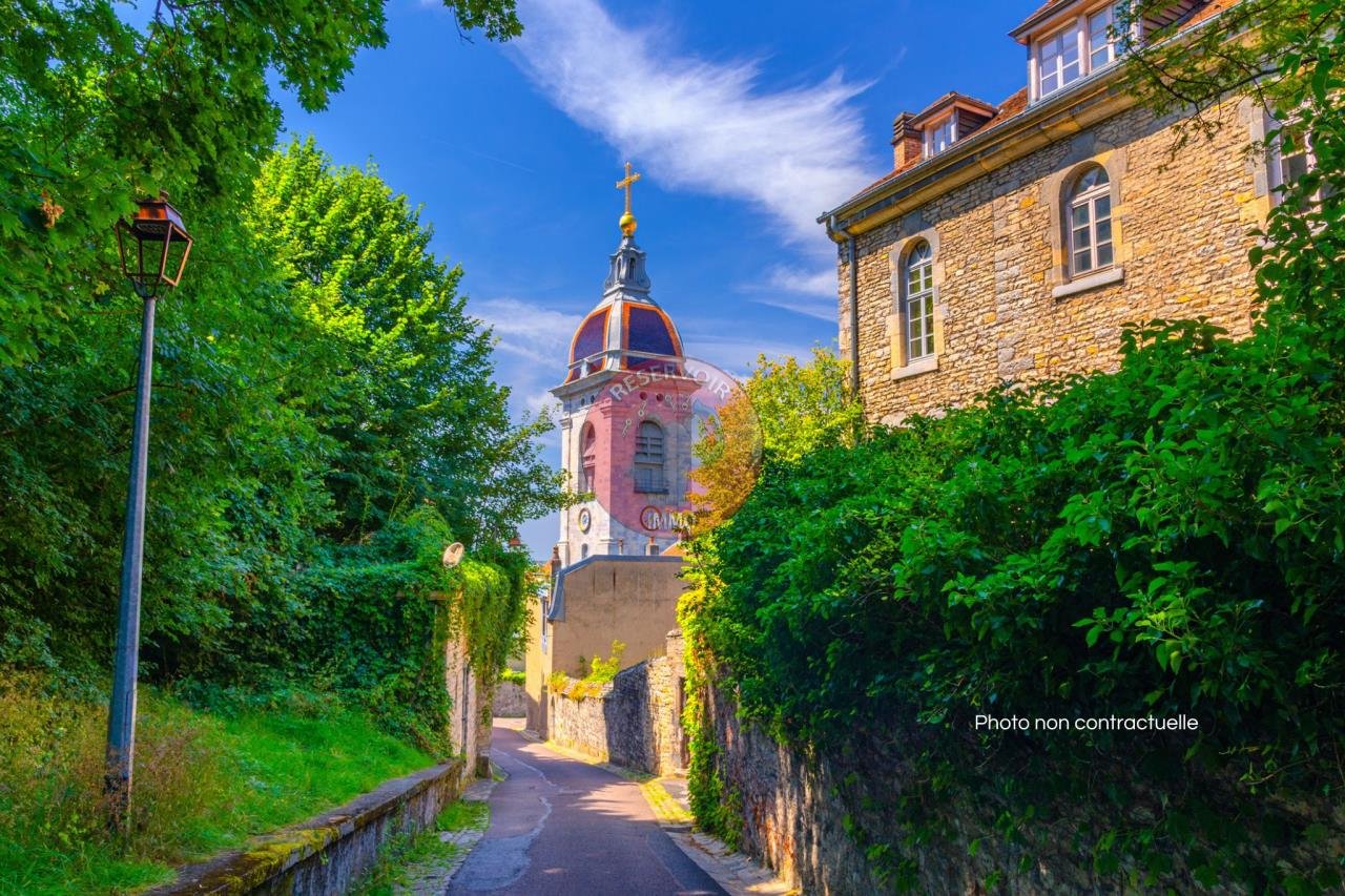 Maison à vendre, 470m², Saint-Léger-sur-Dheune