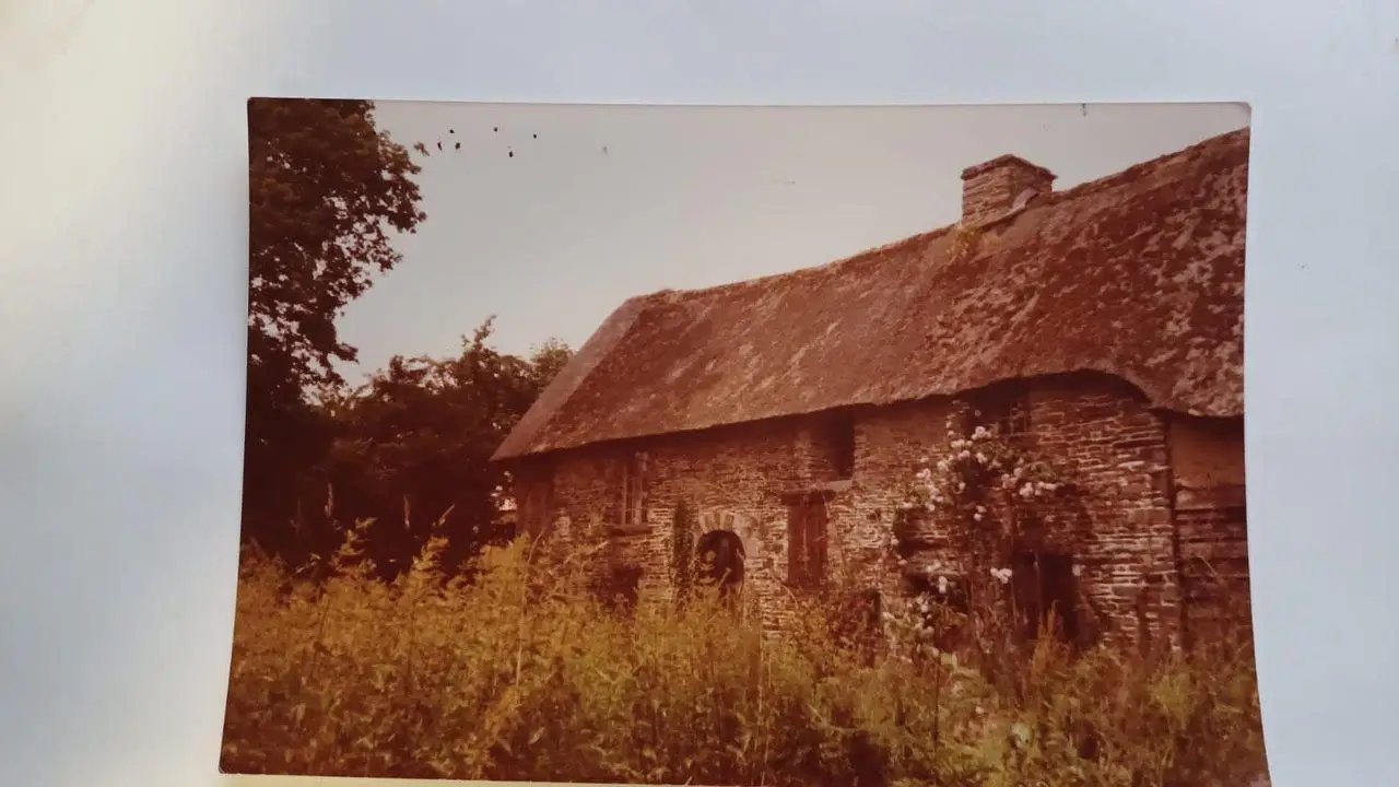 Maison à vendre, 100m², Pierres