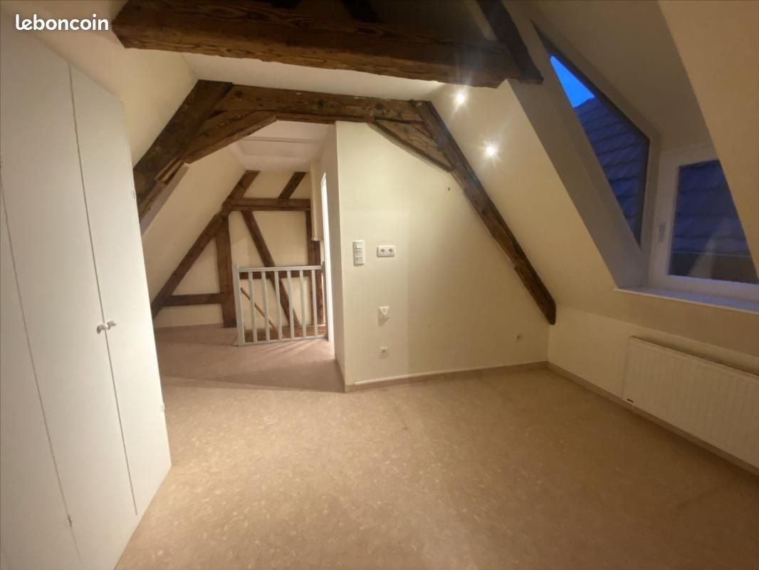 Appartement à louer, 55m², Colmar