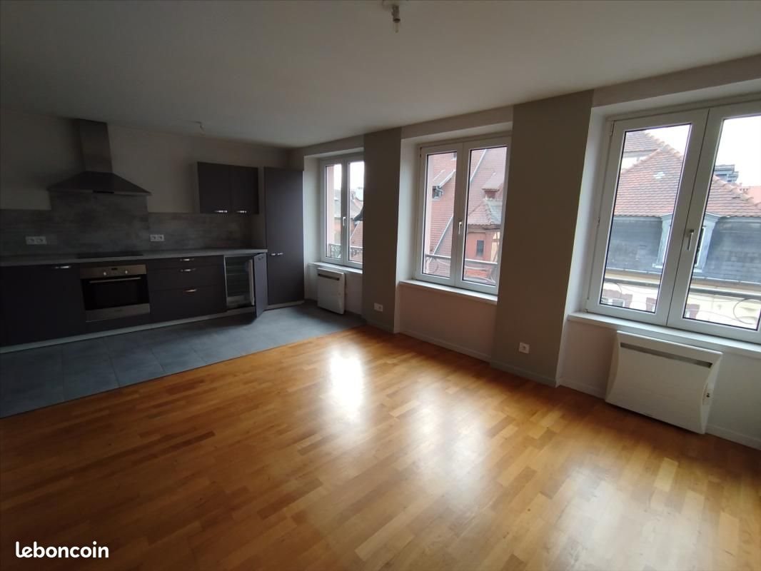 Appartement à louer, 43m², Colmar