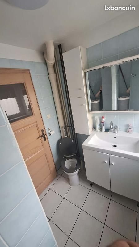 Appartement à louer, 49m², Colmar