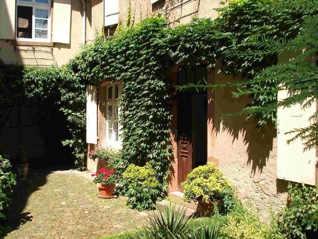 Appartement à louer, 103m², Andlau