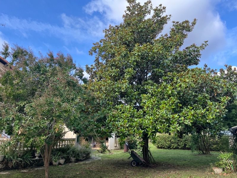 Maison à vendre, 71m², Chalais