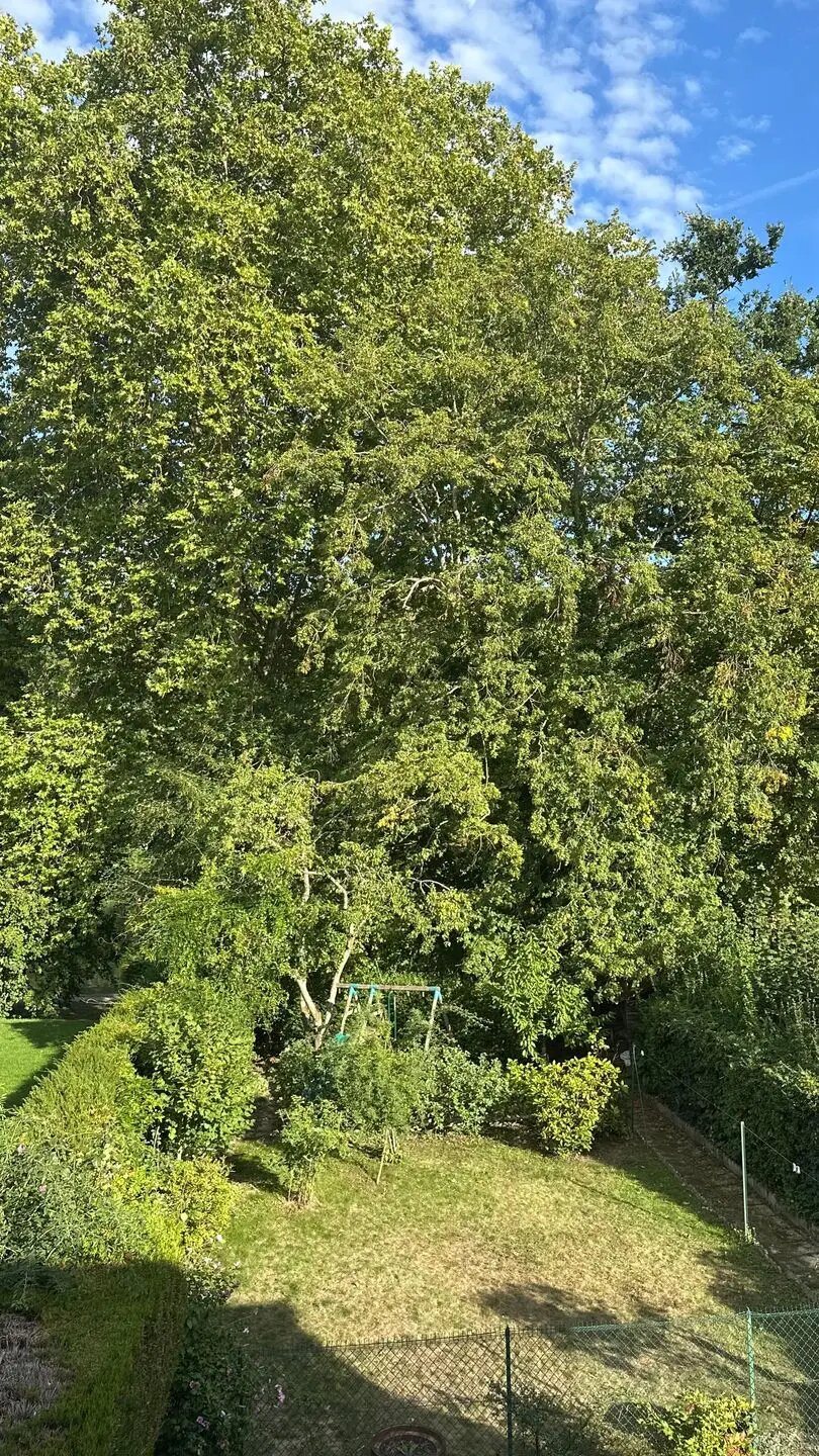 Maison à vendre, 116m², Saint-Rémy-lès-Chevreuse