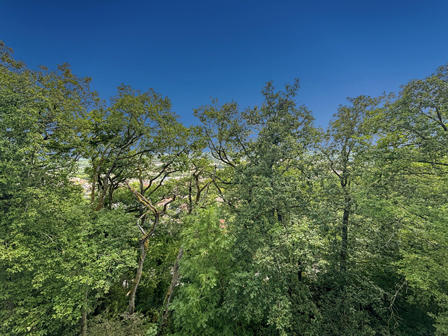 Appartement à vendre, 56m², Palaiseau
