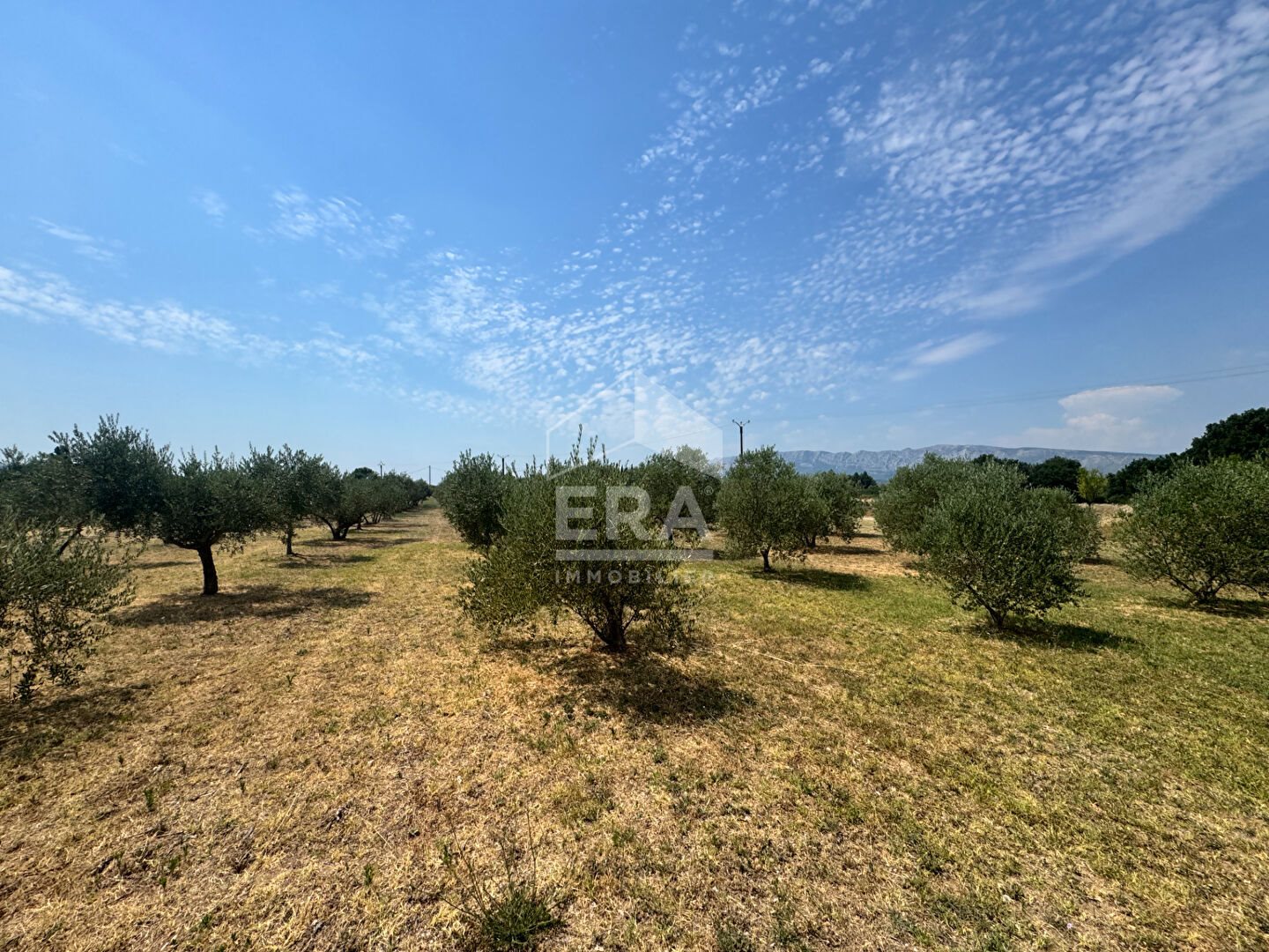 Maison à vendre, 133m², Trets