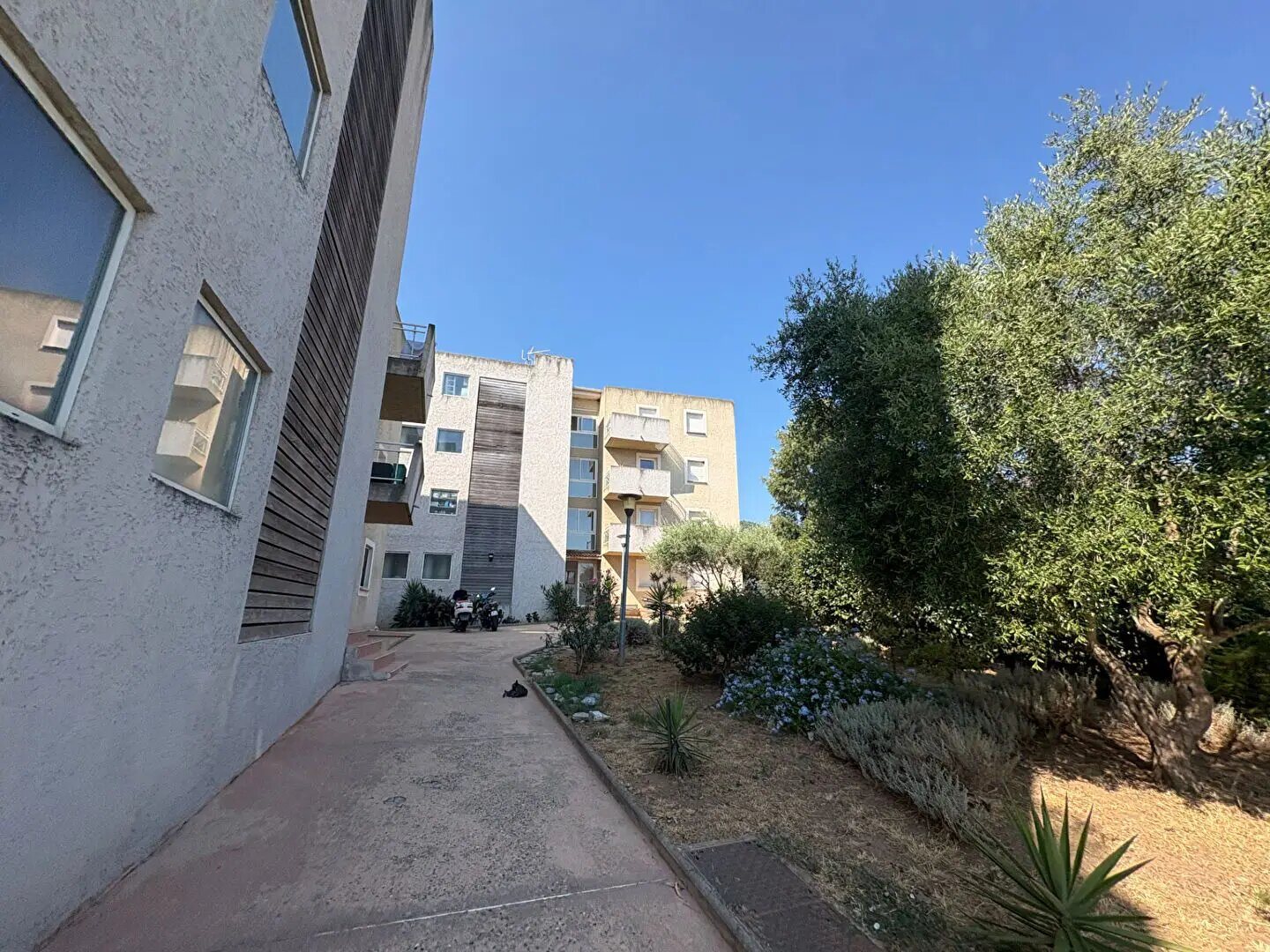 Appartement à louer, 40m², Vescovato