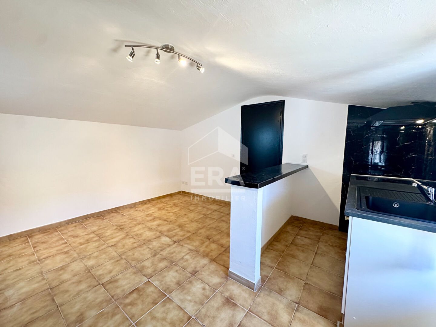 Appartement à louer, 25m², Mouans-Sartoux