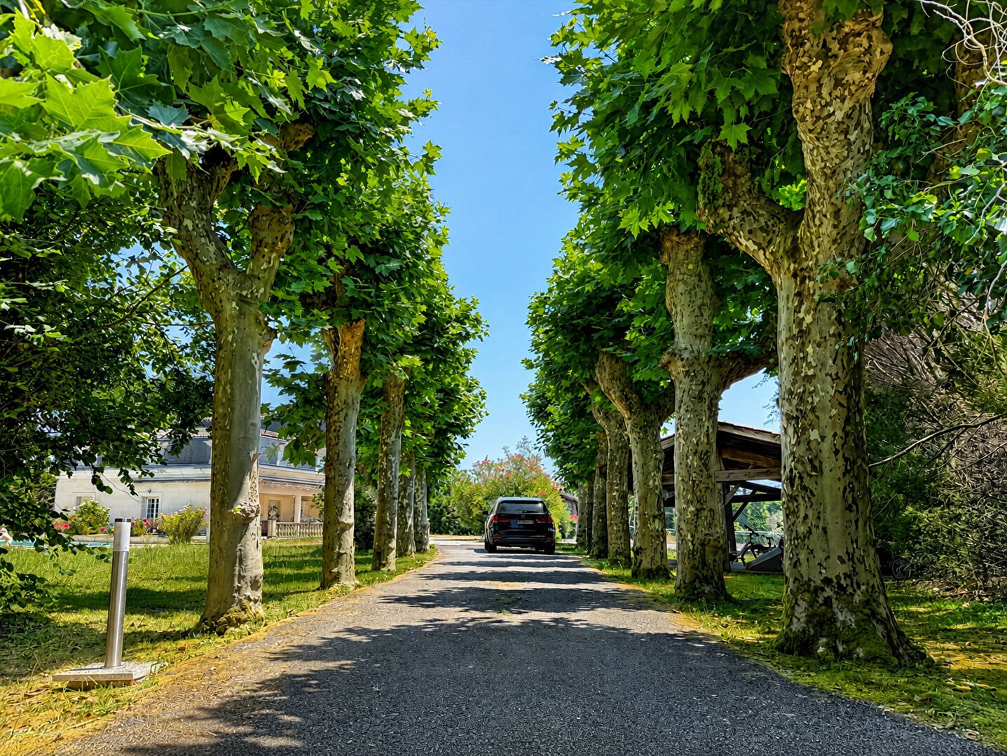 Maison à vendre, 350m², Pessac