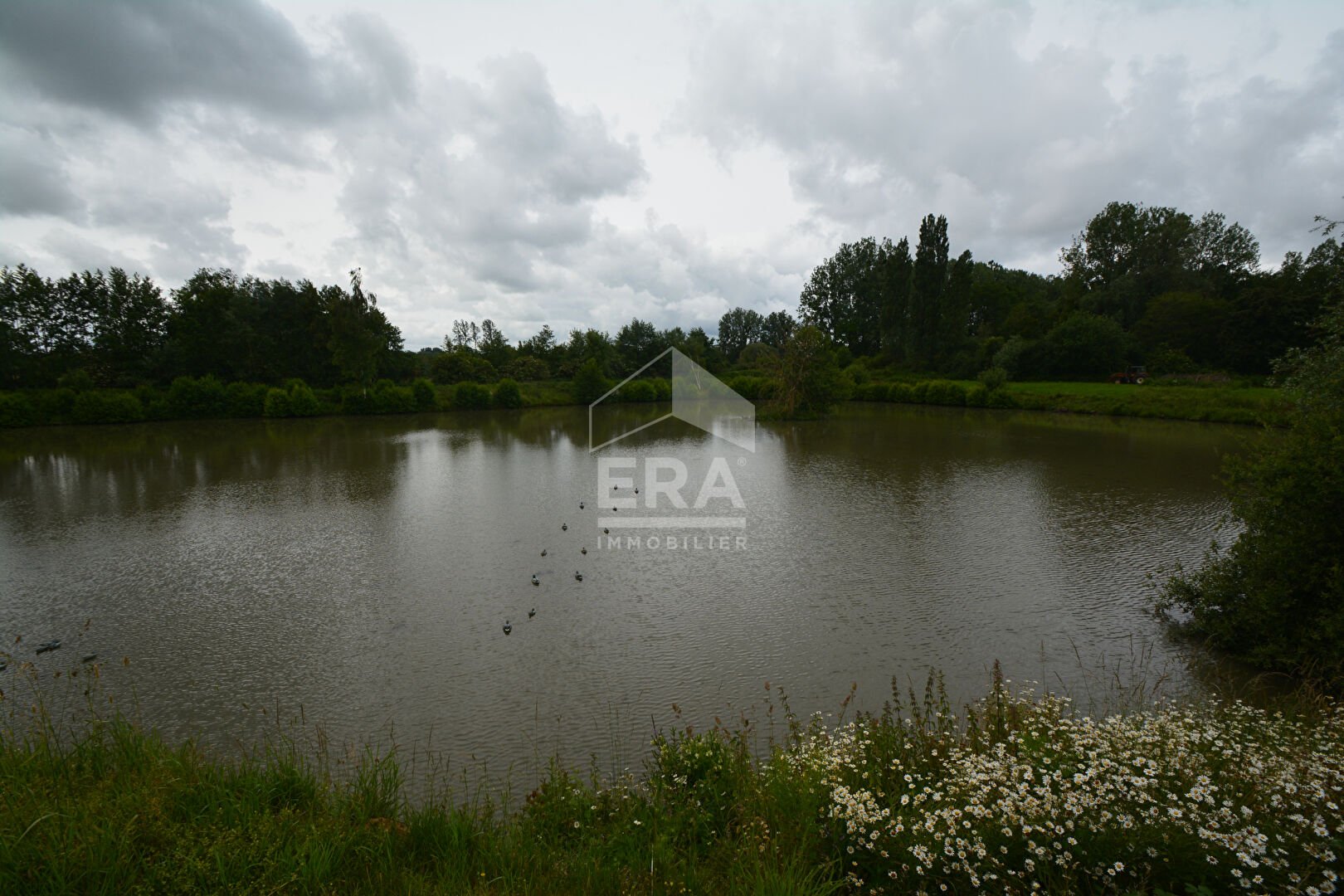 Maison à vendre, 20100m², Berlaimont