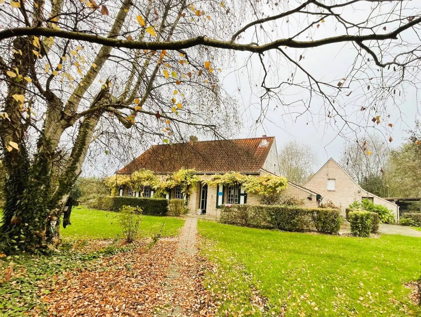 Maison à vendre, 1m², Watten