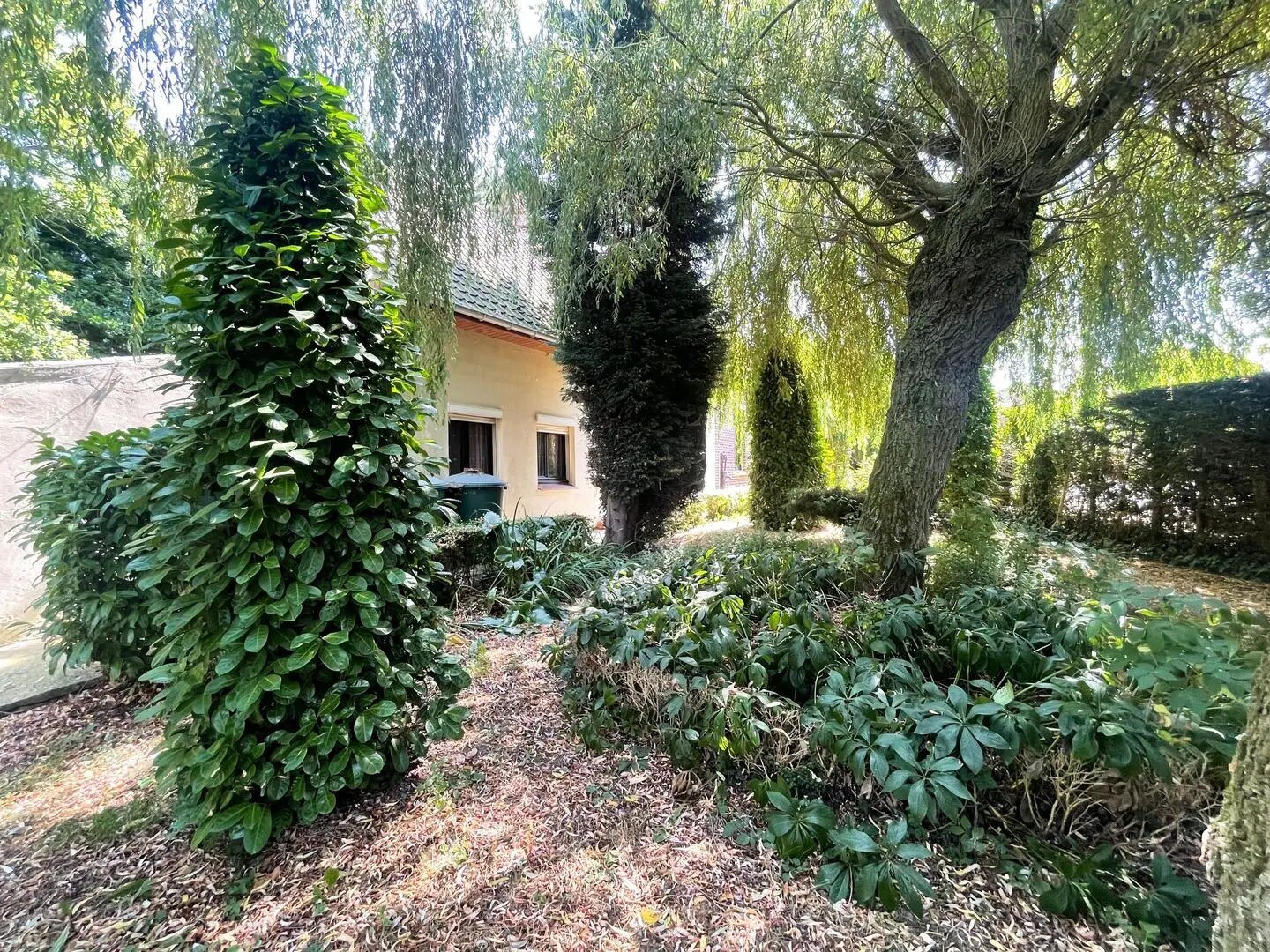 Maison à vendre, 105m², Noordpeene