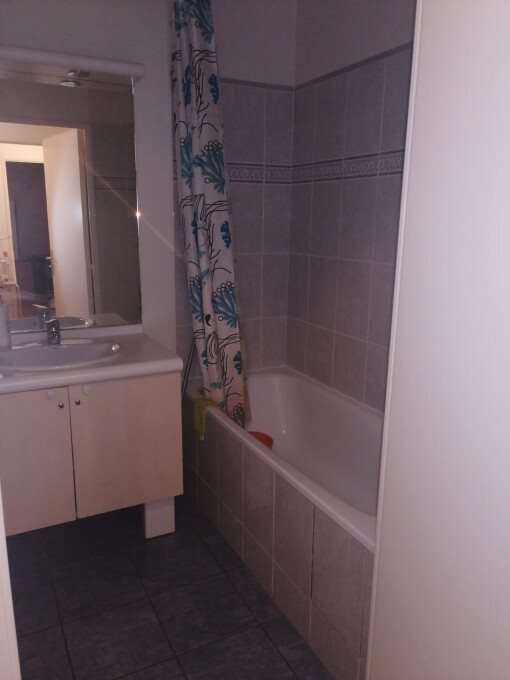 Appartement à louer, 49m², Montigny-le-Bretonneux