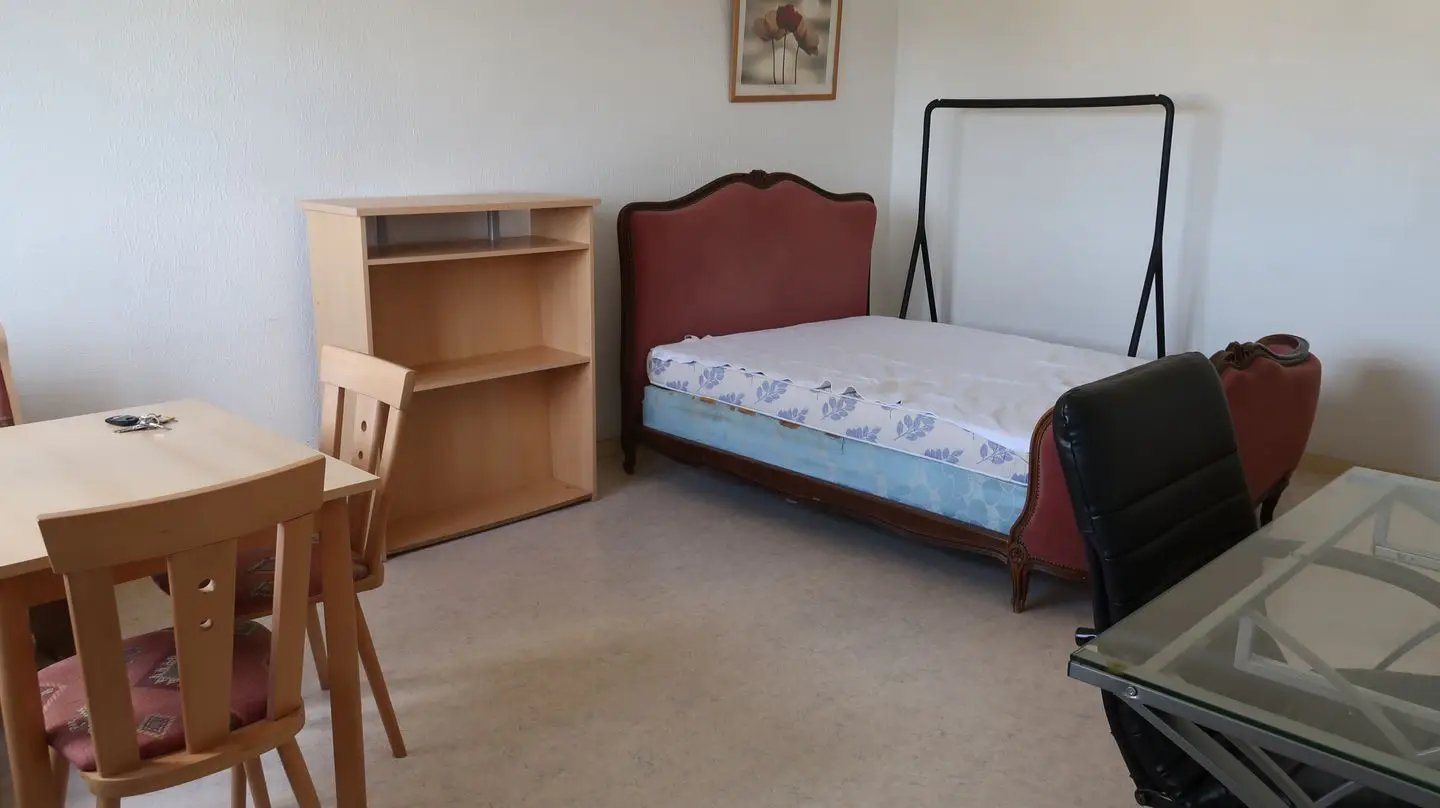 Appartement à vendre, 27m², Metz