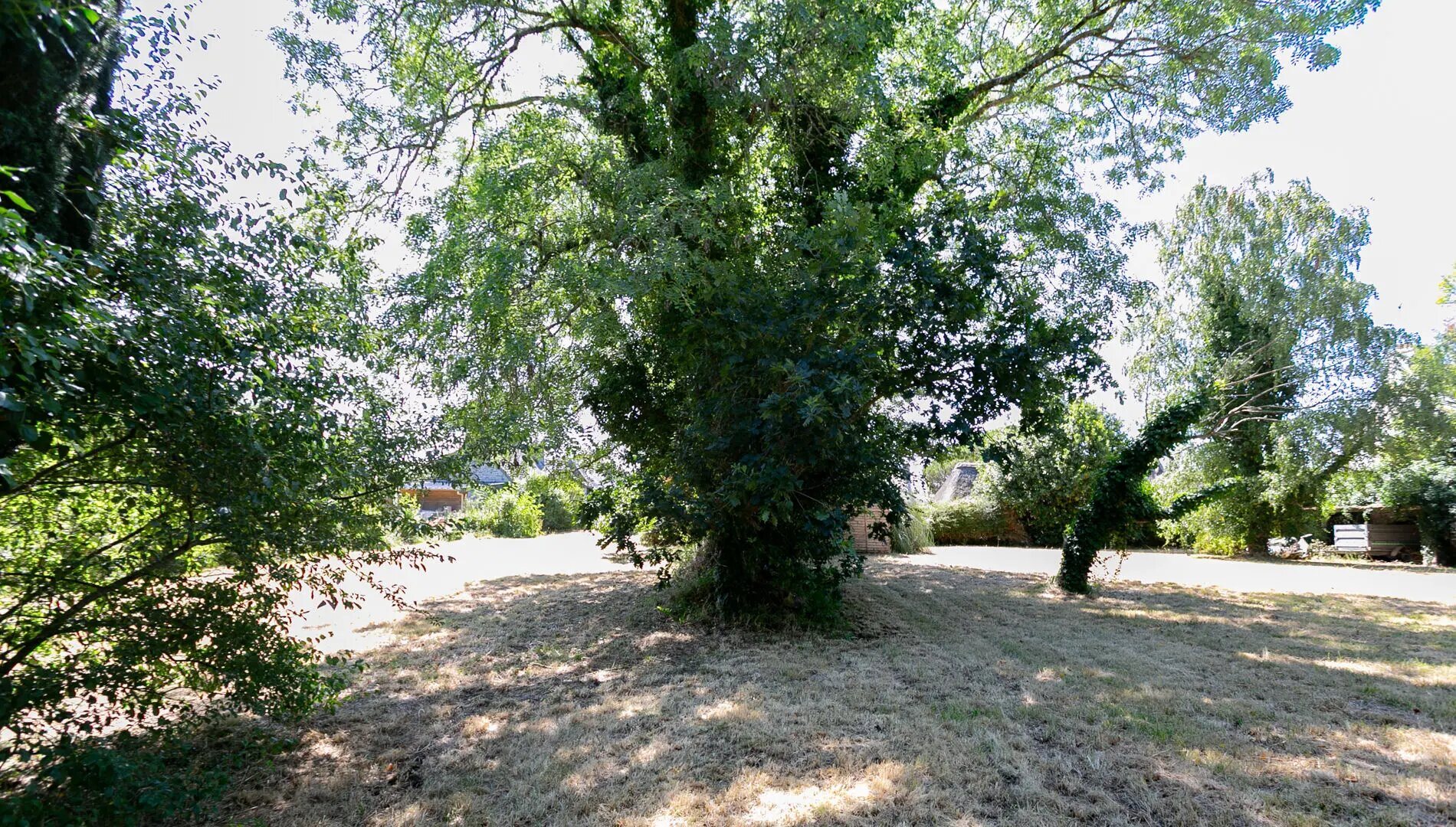 Maison à vendre, 235m², Névez
