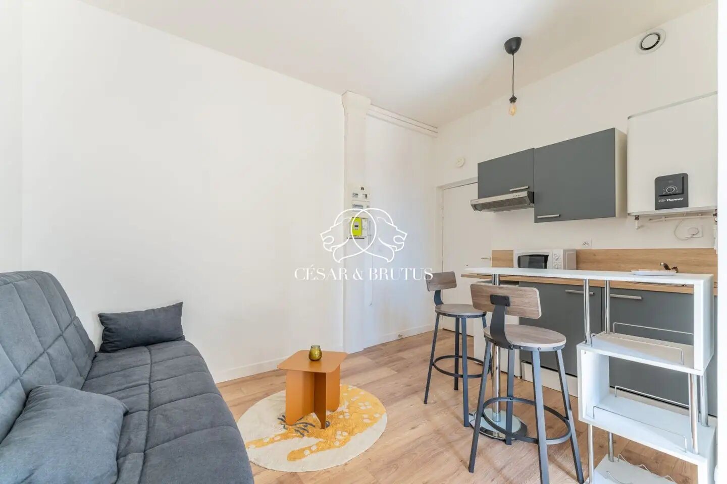 Appartement à vendre, 19m², Lyon 9ème