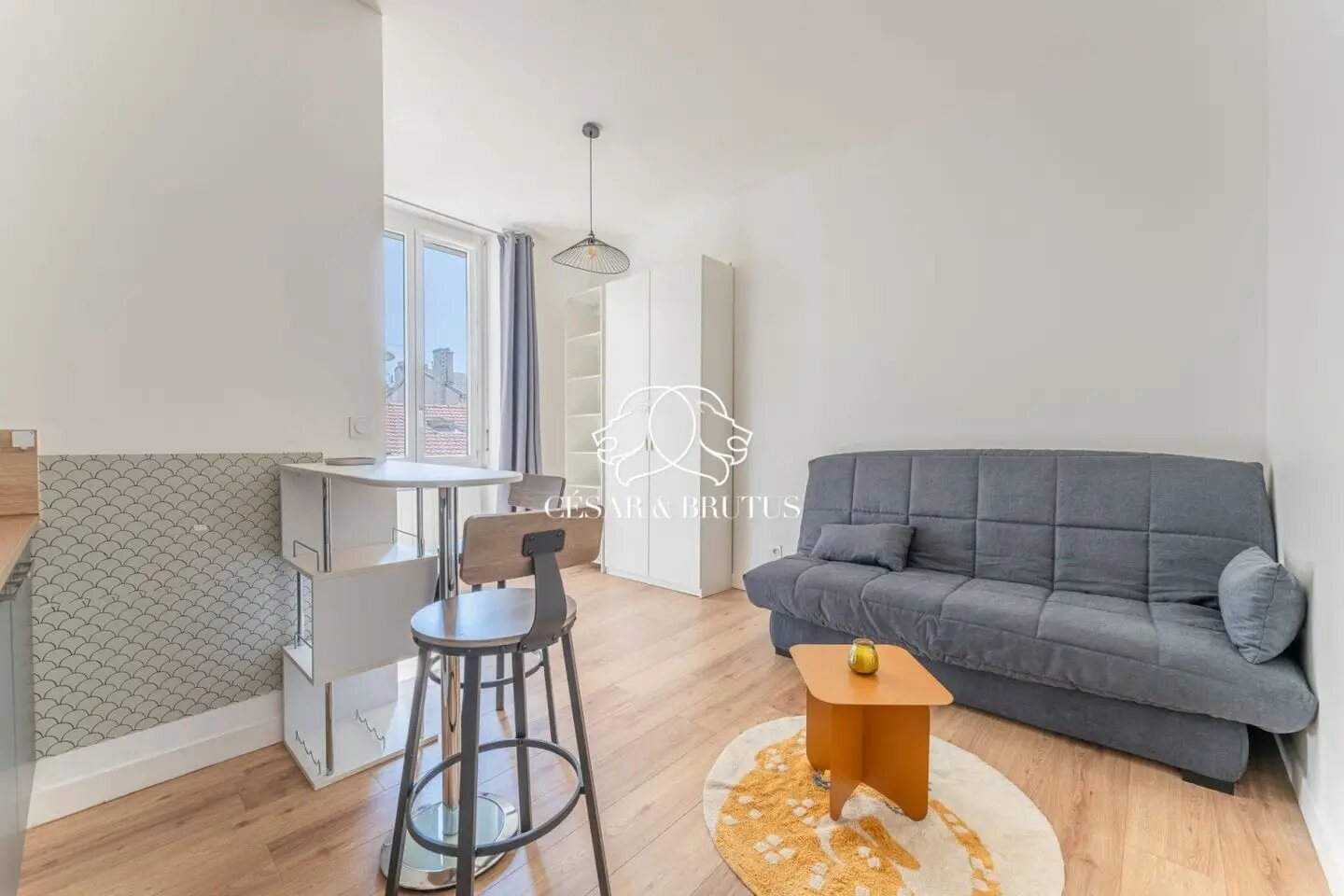 Appartement à vendre, 19m², Lyon 9ème