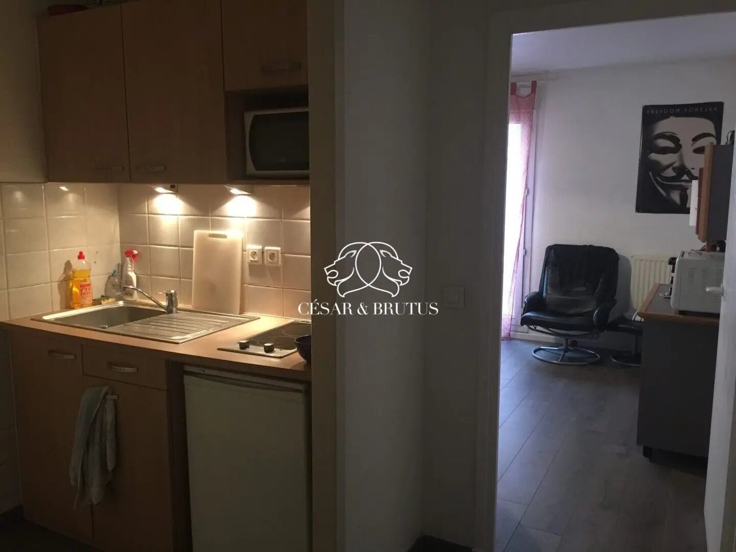 Appartement à vendre, 26m², Lyon 9ème