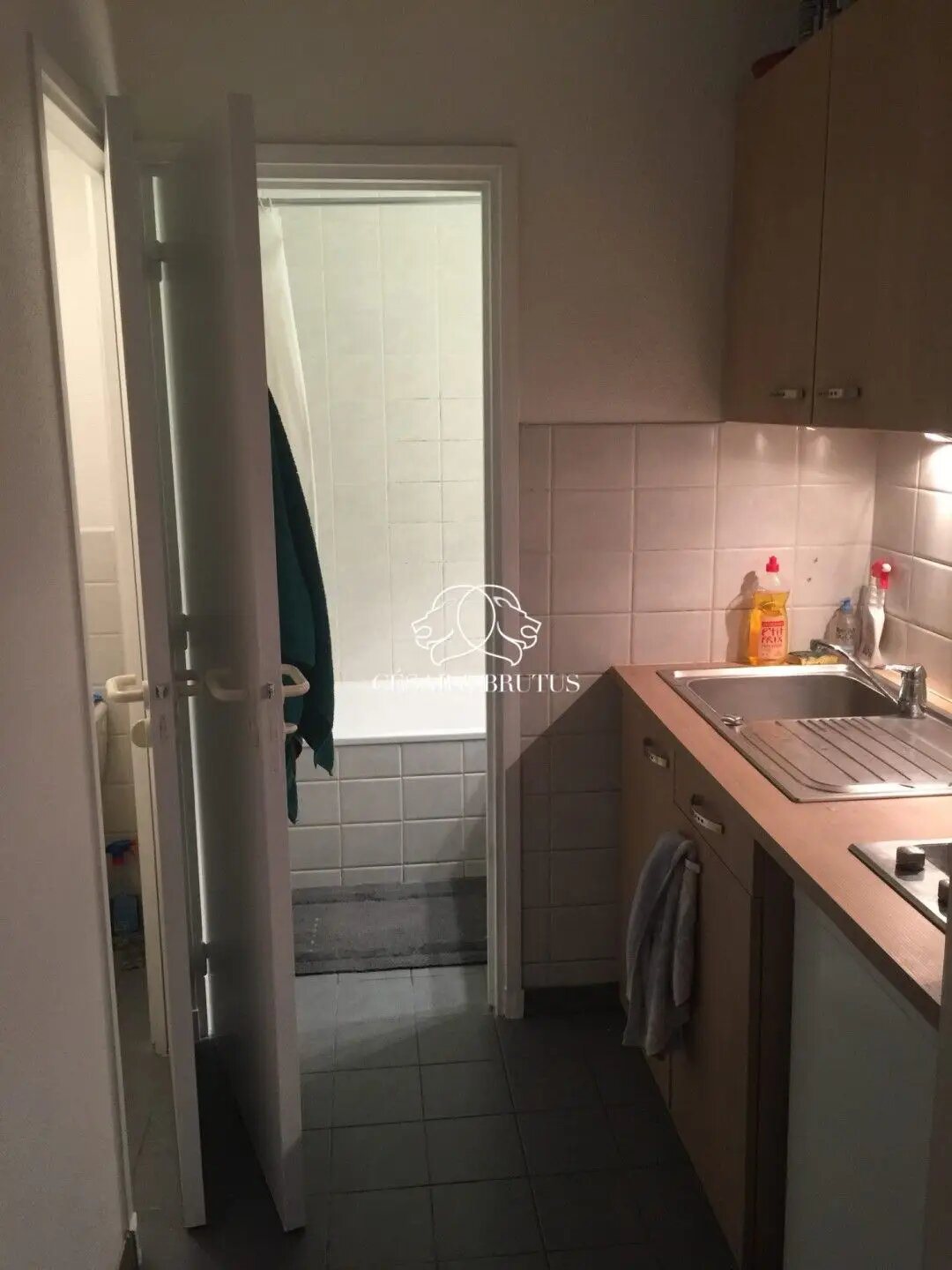 Appartement à vendre, 26m², Lyon 9ème