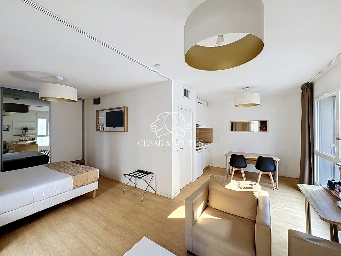 Appartement à vendre, 38m², Lyon 7ème
