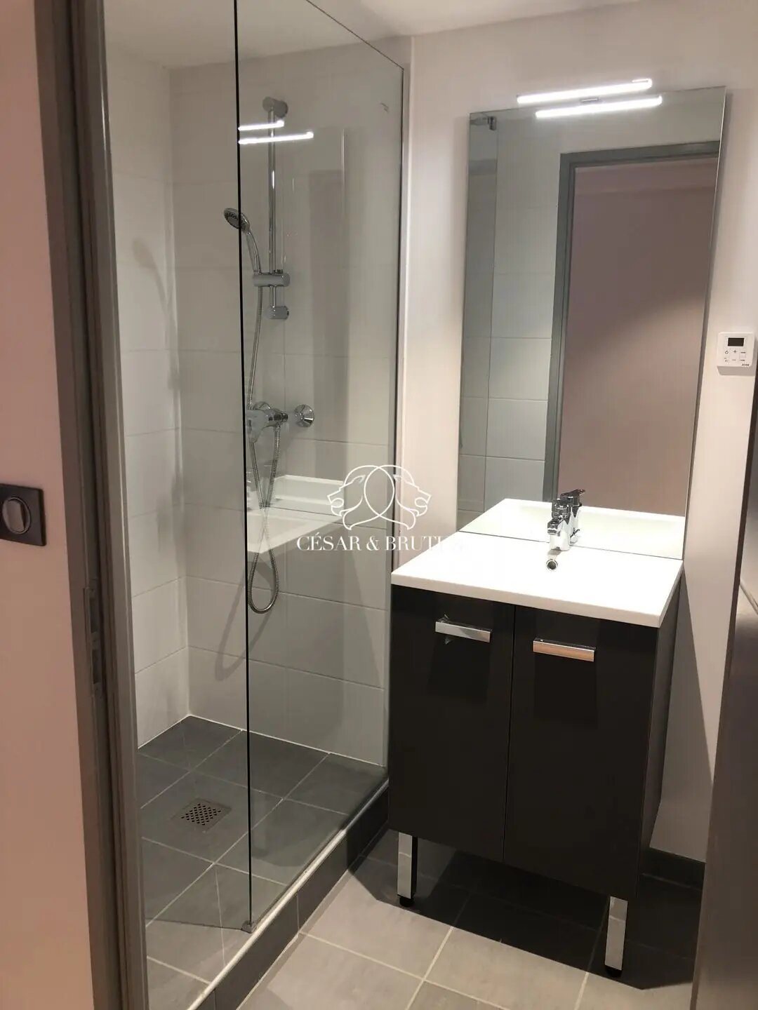 Appartement à vendre, 73m², Lyon 9ème