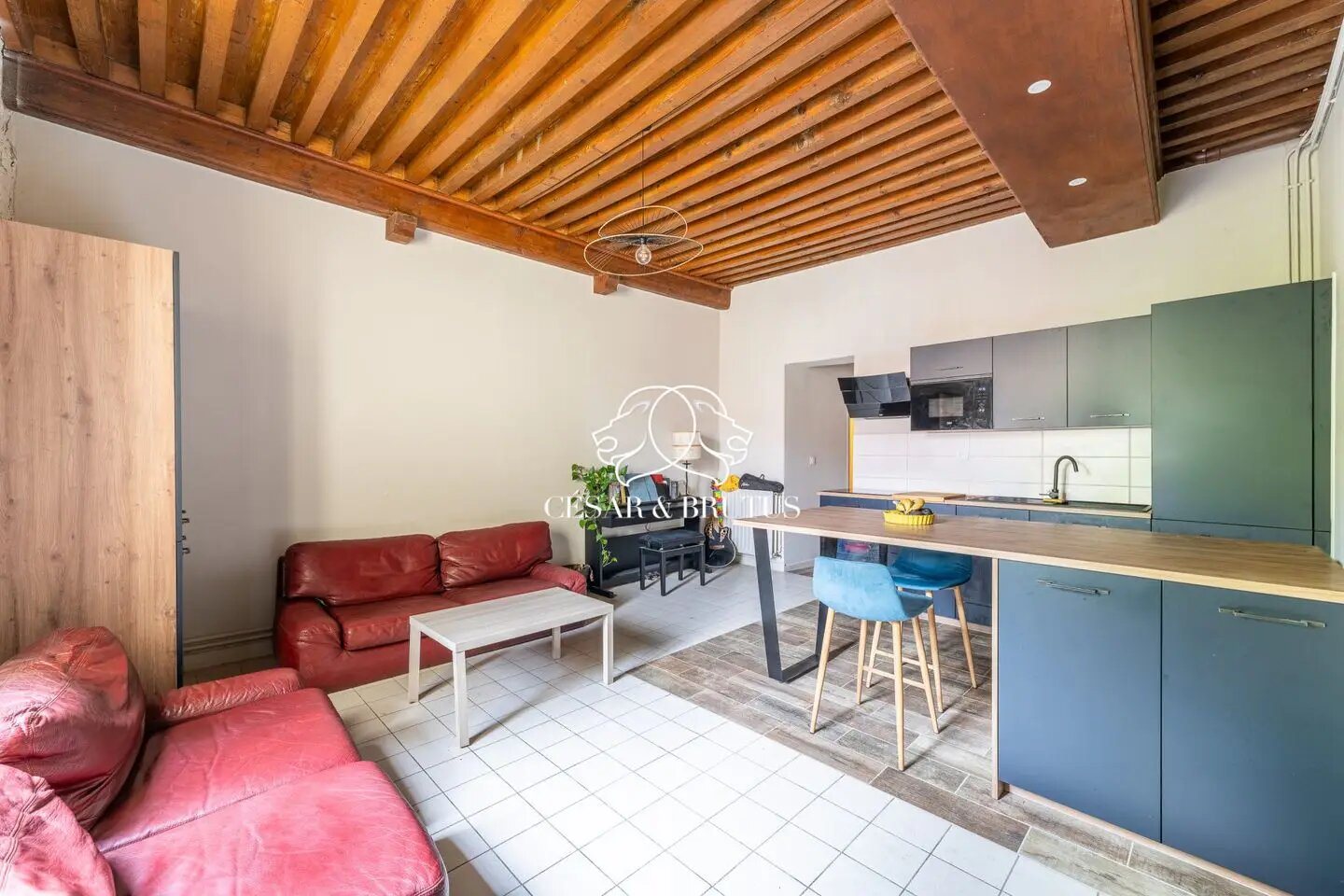 Appartement à vendre, 60m², Saint-Cyr-au-Mont-d'Or