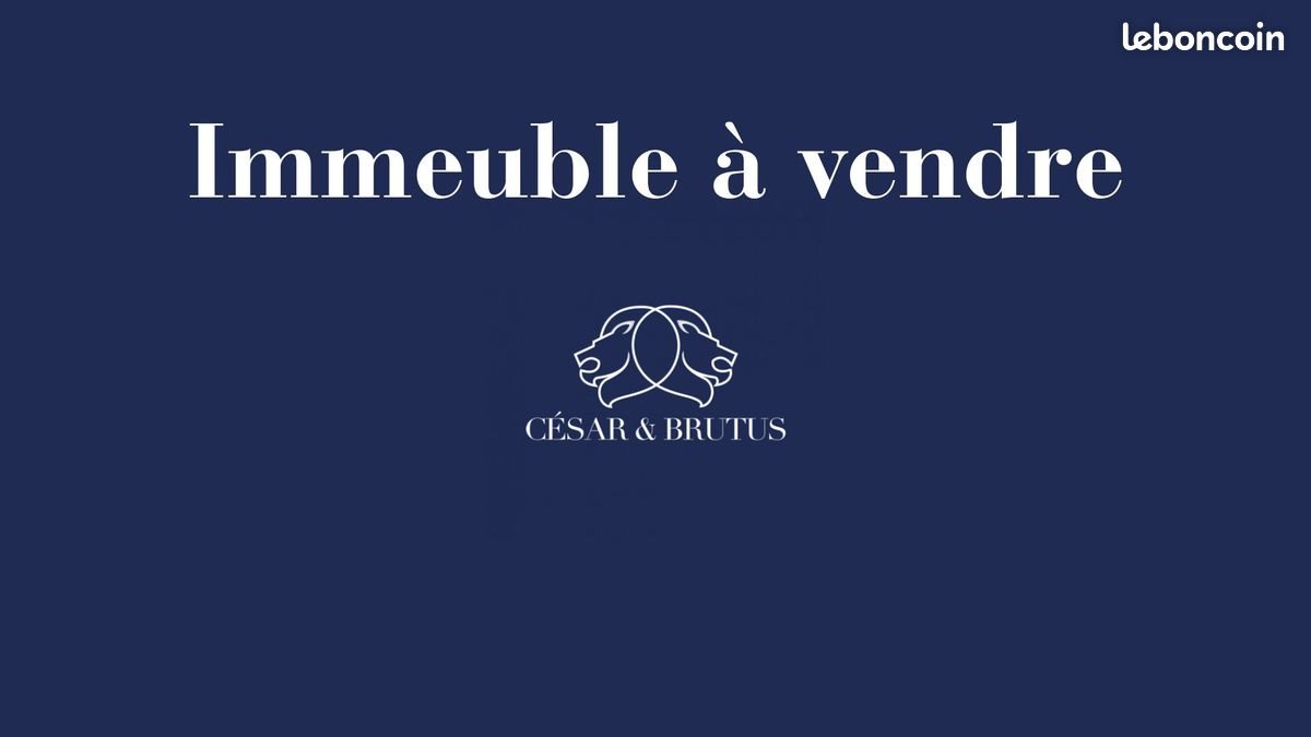 Appartement à vendre, 570m², Saint-Etienne