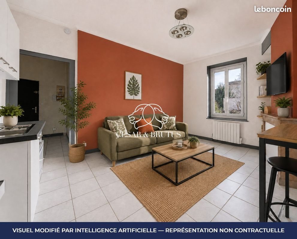 Appartement à vendre, 39m², Neuville-sur-Saône