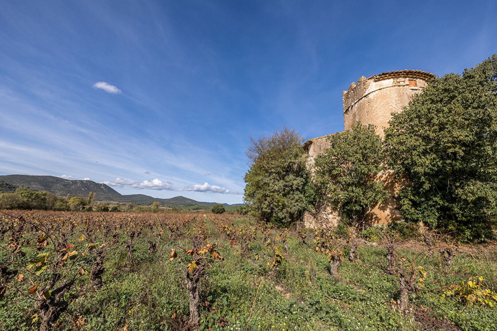 Maison à vendre, 550m², Causses-et-Veyran
