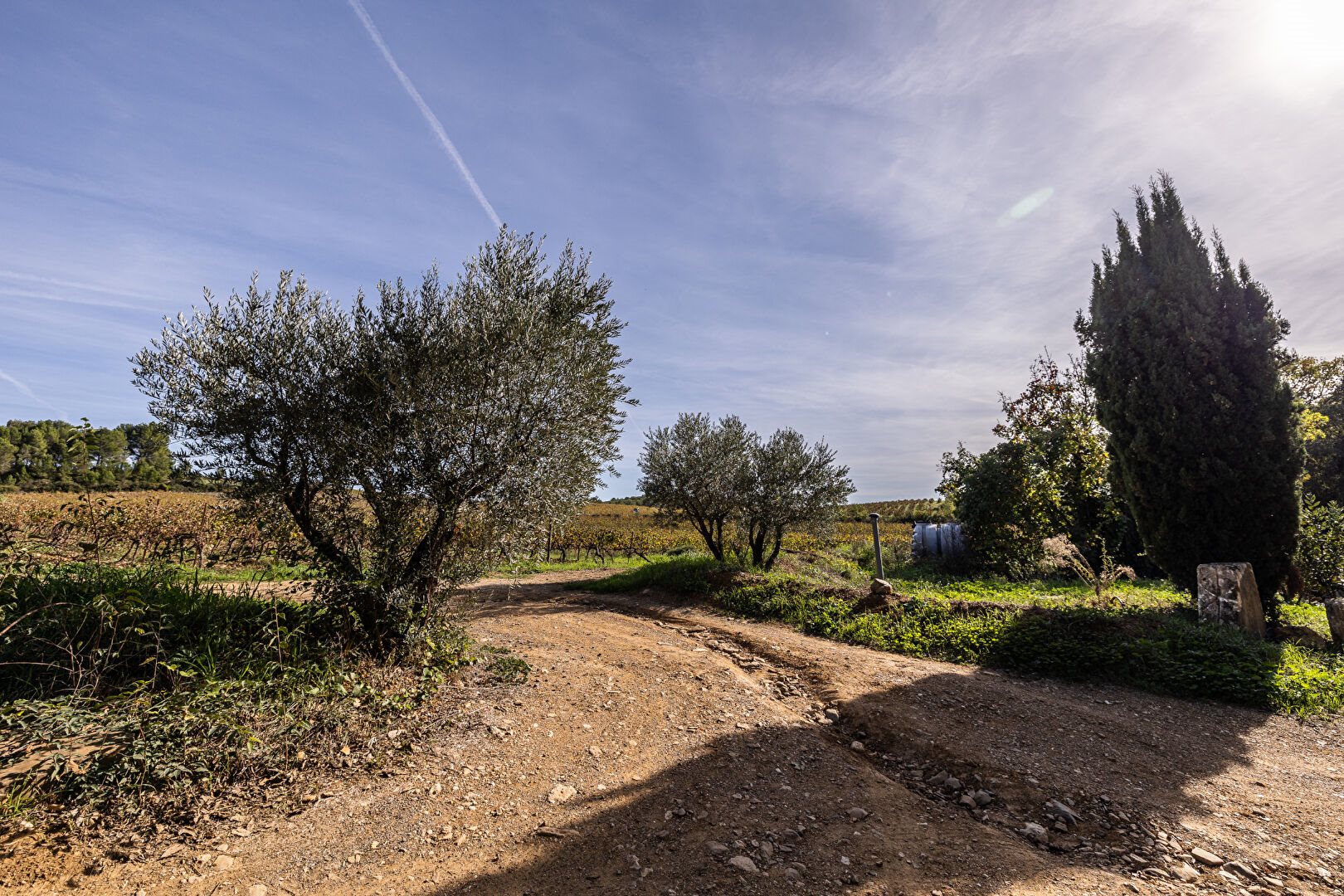 Maison à vendre, 550m², Causses-et-Veyran