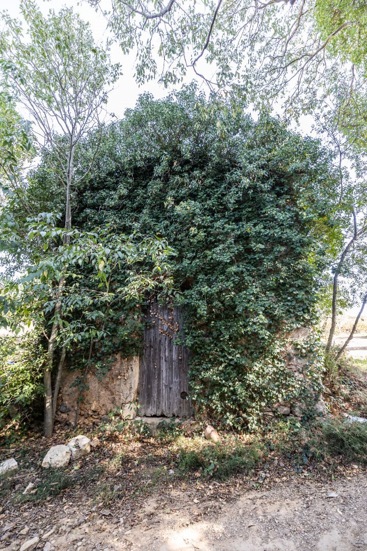 Maison à vendre, 550m², Causses-et-Veyran