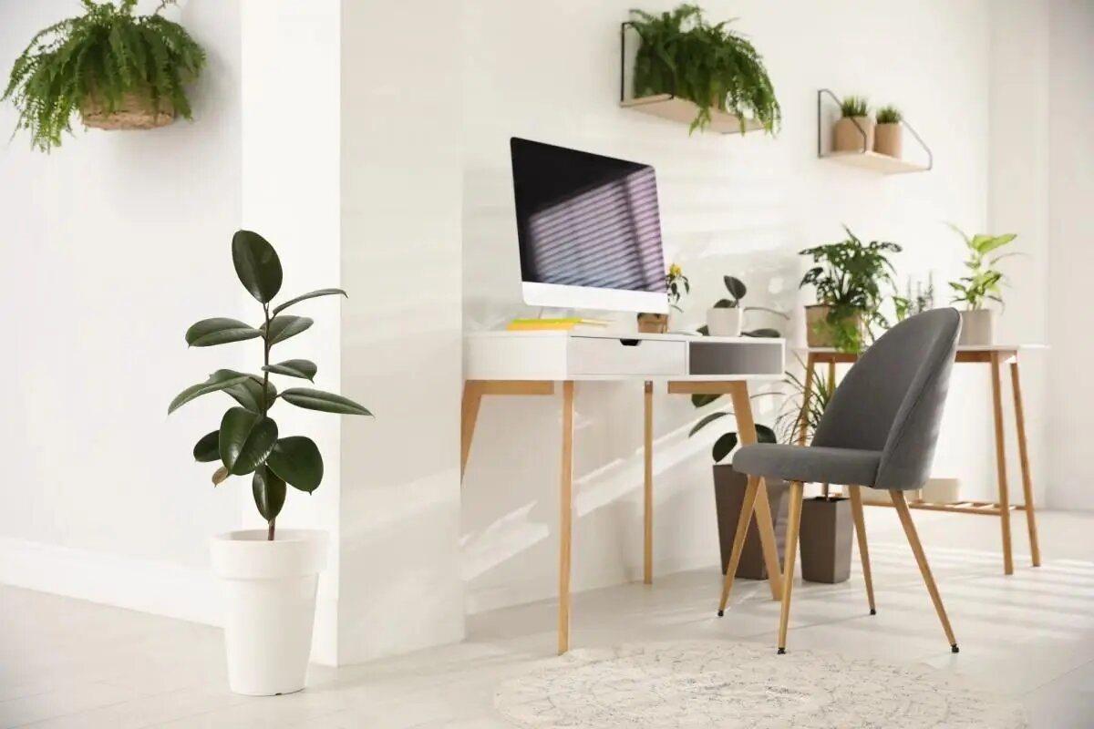 Appartement à vendre, 95m², Les Lilas