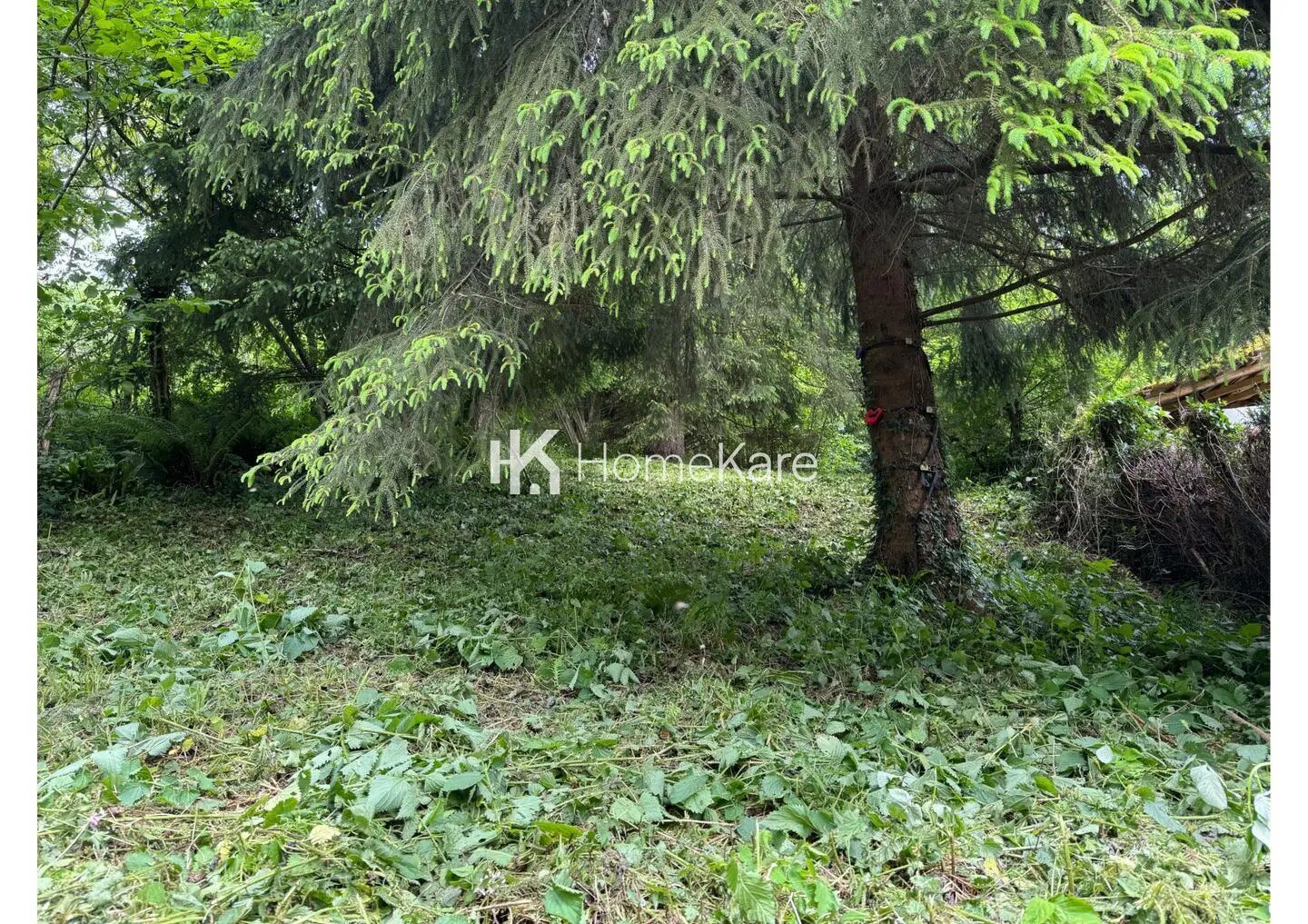 Maison à vendre, 45m², Mauléon-Barousse