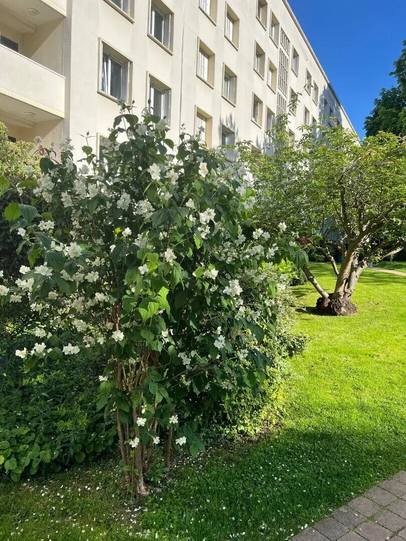 Appartement à vendre, 39m², Saint-Cloud